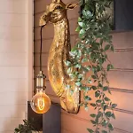 L'ecrin - & Bain Nordique Luxe Vue Chalet